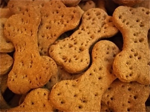 Frosted, baked dog treats in shape of bones