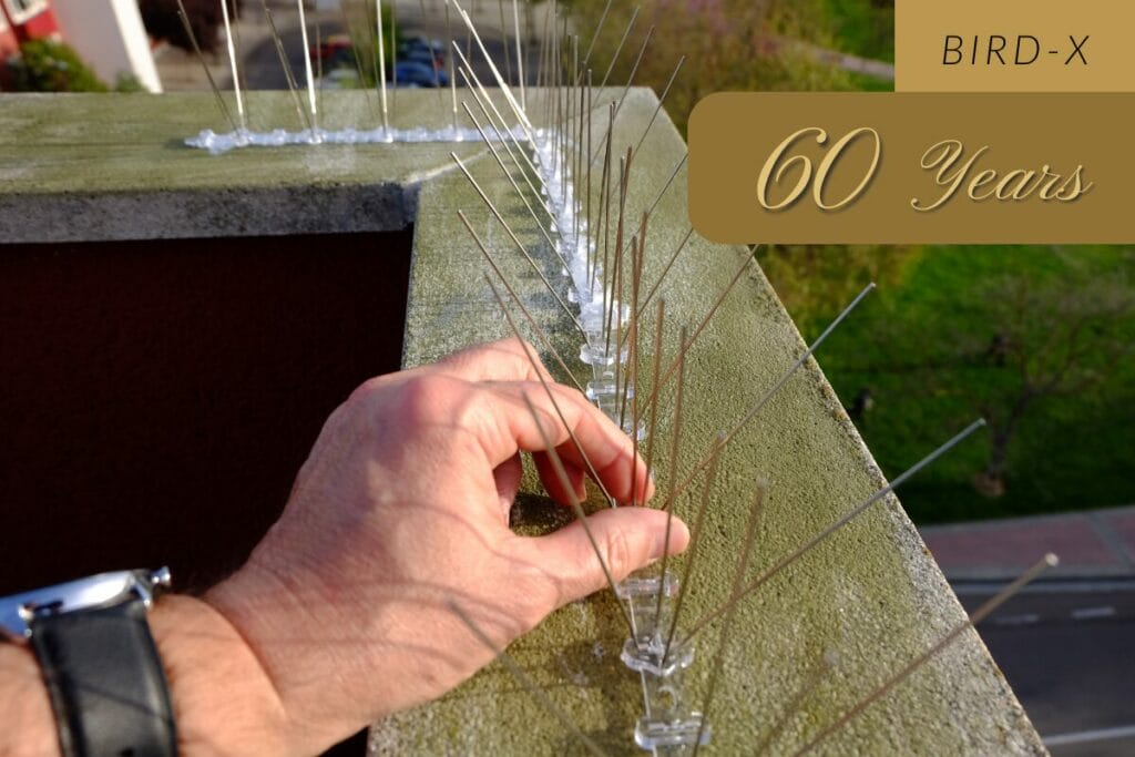 bird deterrents on a building ledge representing bird-x